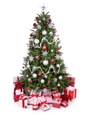  Trees  North Carolina Grown Christmas Trees  Kiser Christmas Tree